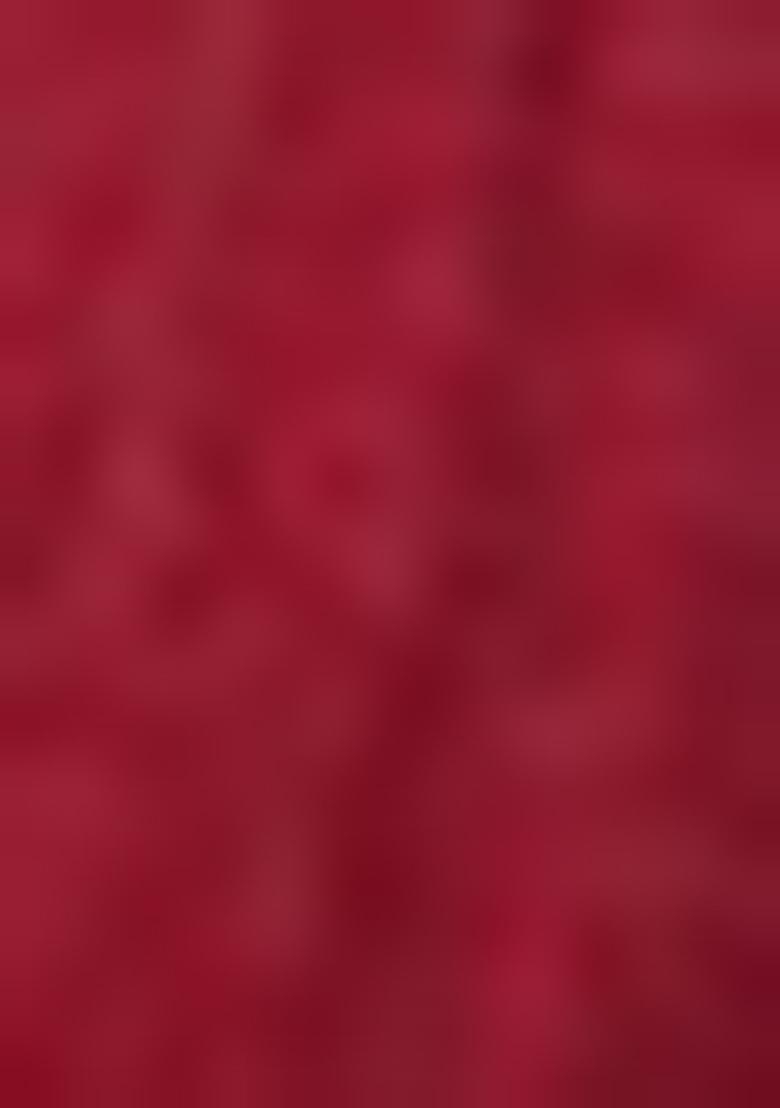 Maroon Hand embroidery Poly Mulbury Silk Blouse - Indya