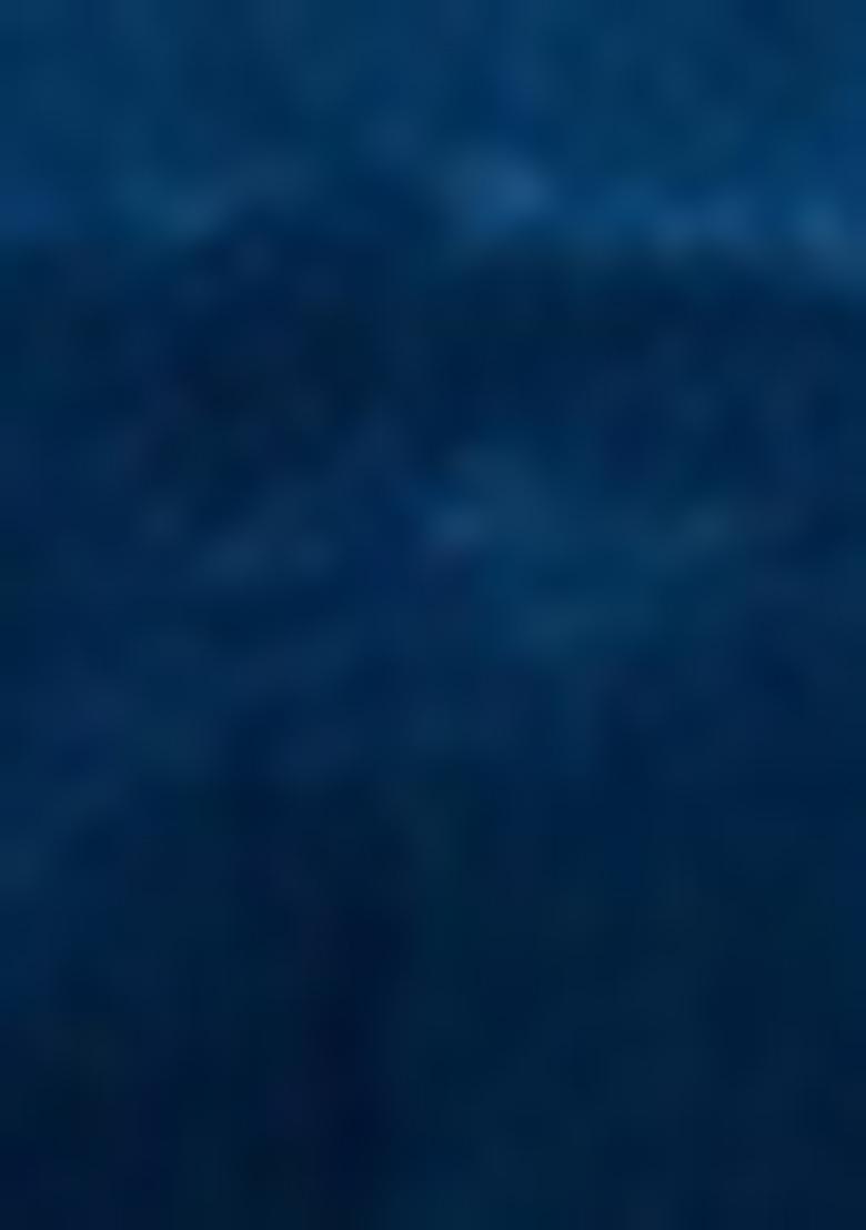 Cobalt Blue Hand embroidery Poly Gajii Silk Blouse - Indya