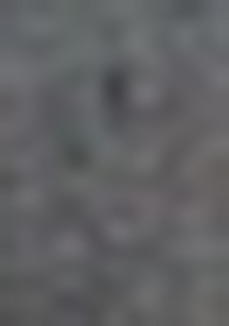 Black Hand embroidery Poly Shimmer Blouse - Indya