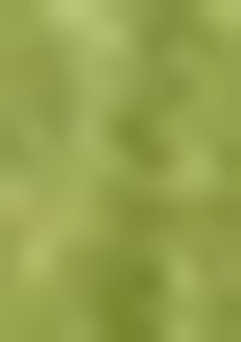 Green Hand embroidery Poly Shimmer Blouse - Indya