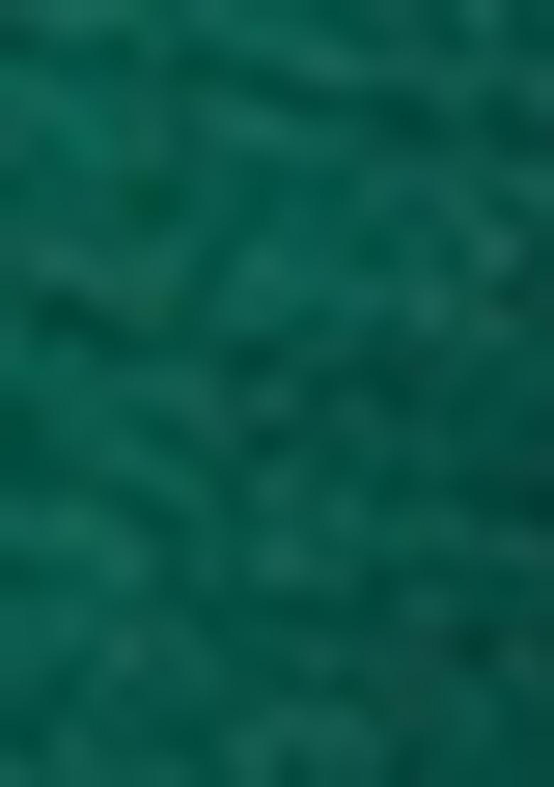 Bottle Green Hand embroidery Poly Dupion Silk Blouse - Indya