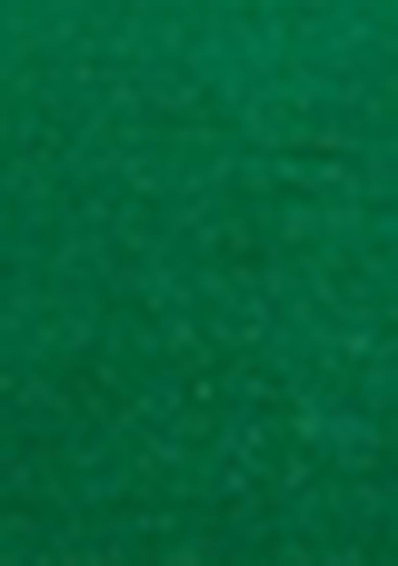 Green Hand embroidery Poly Dupion Silk Blouse - Indya