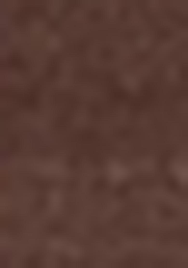 Brown Hand embroidery Poly Tafeta Silk Blouse - Indya