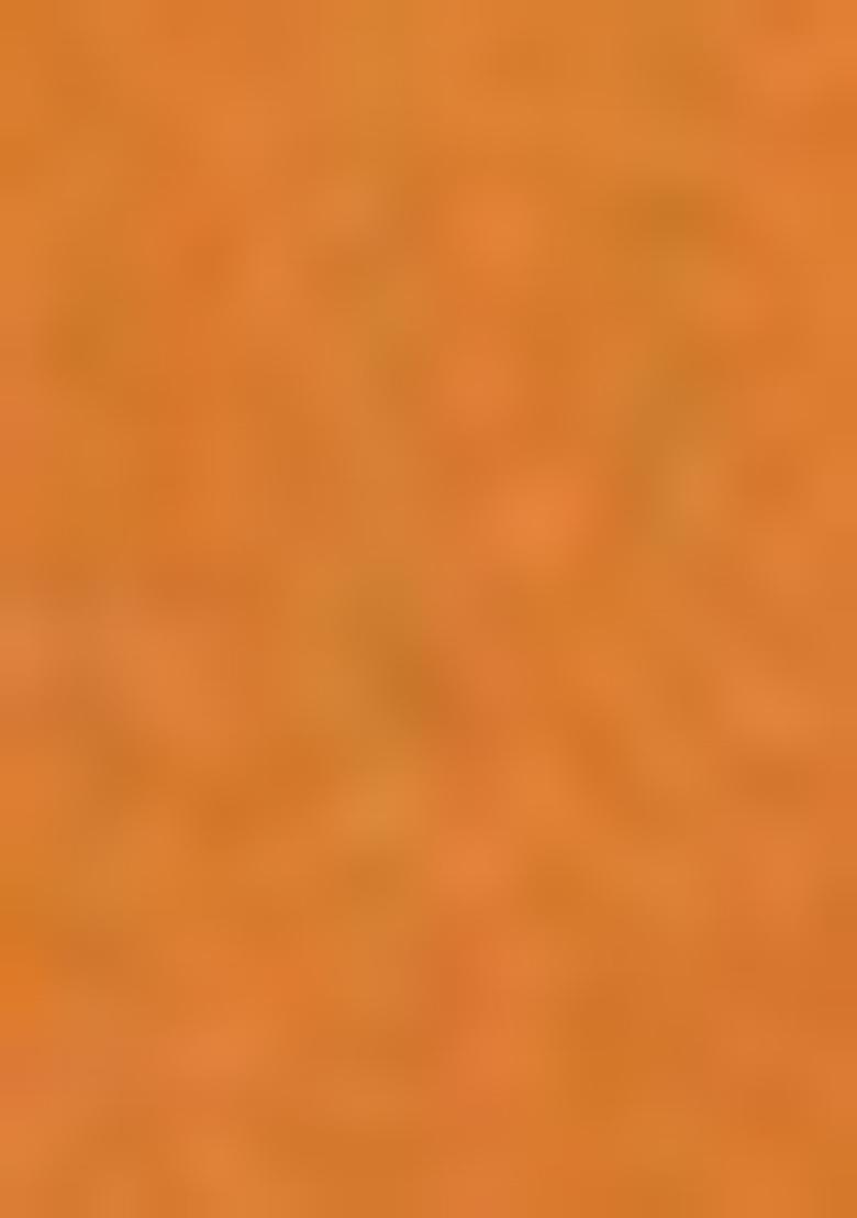 Dark Mustard Hand embroidery Poly Tafeta Silk Blouse - Indya