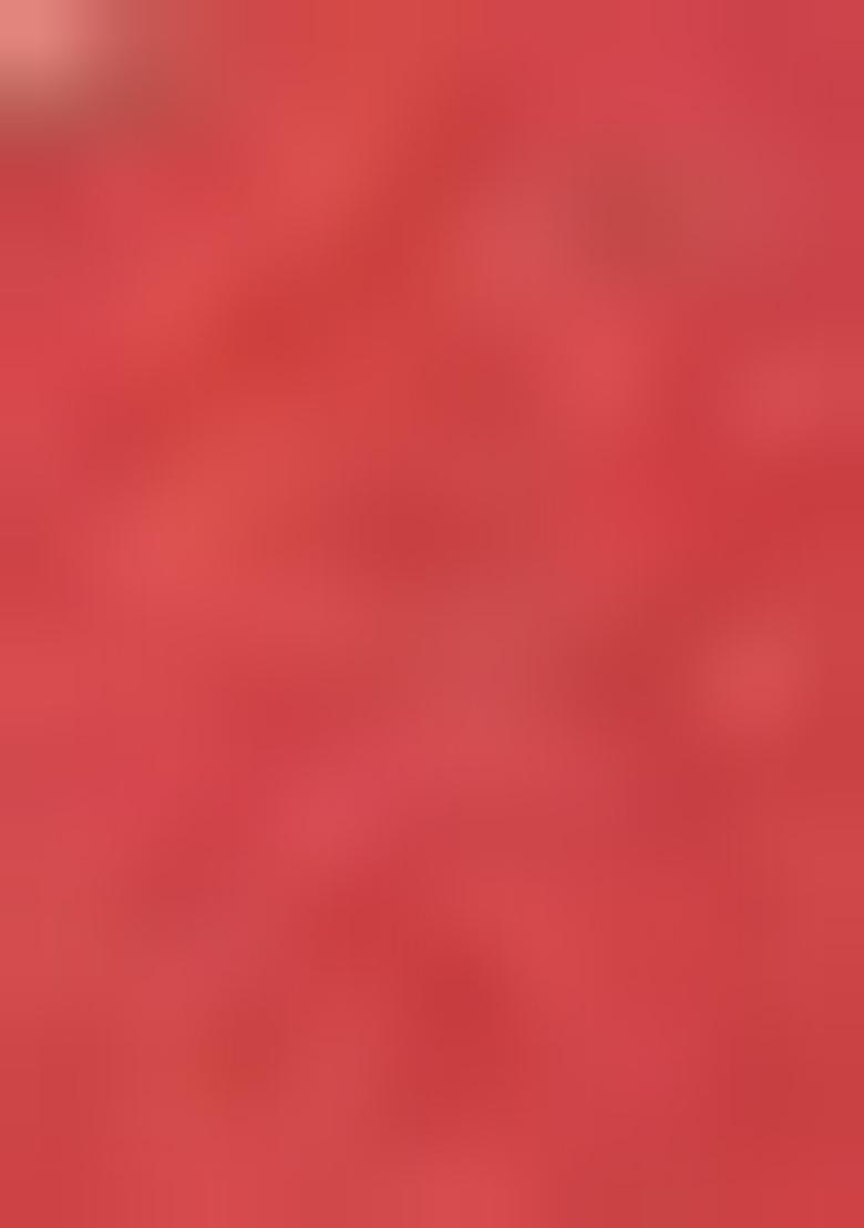 Dark Red Hand embroidery Poly Tafeta Silk Blouse