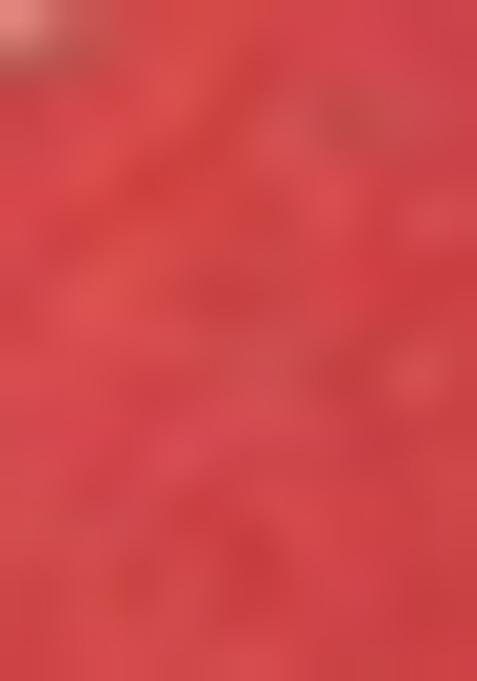 Dark Red Hand embroidery Poly Tafeta Silk Blouse