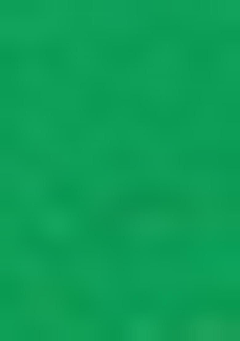 Green Hand embroidery Poly Tafeta Silk Blouse