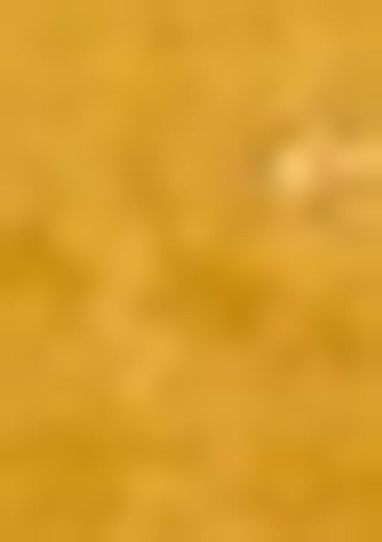 Mustard Hand embroidery Poly Tafeta Silk Blouse - Indya