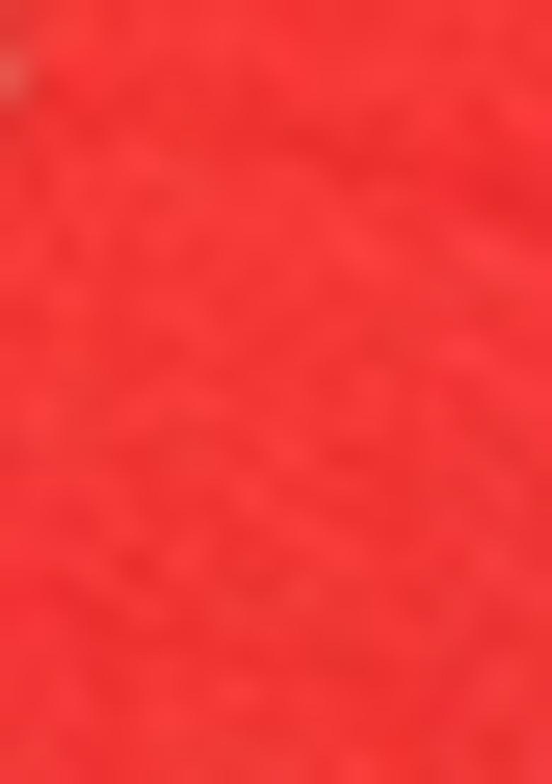 Red Hand embroidery Poly Tafeta Silk Blouse