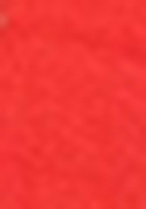 Red Hand embroidery Poly Tafeta Silk Blouse