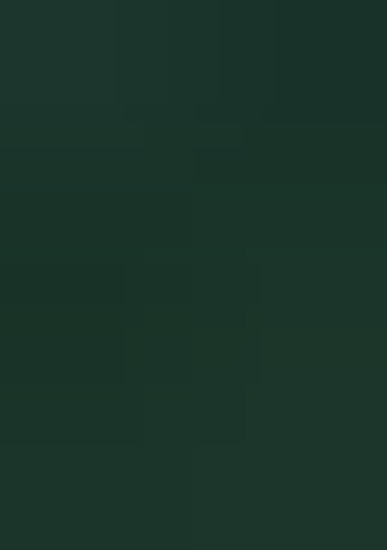 Green Embroidery Rayon Blouse - Indya