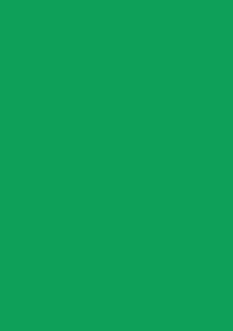 Green Silk Blouse - Indya