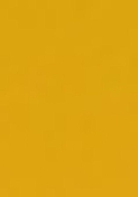 Yellow Embroidered Cotton Salwar Kameez