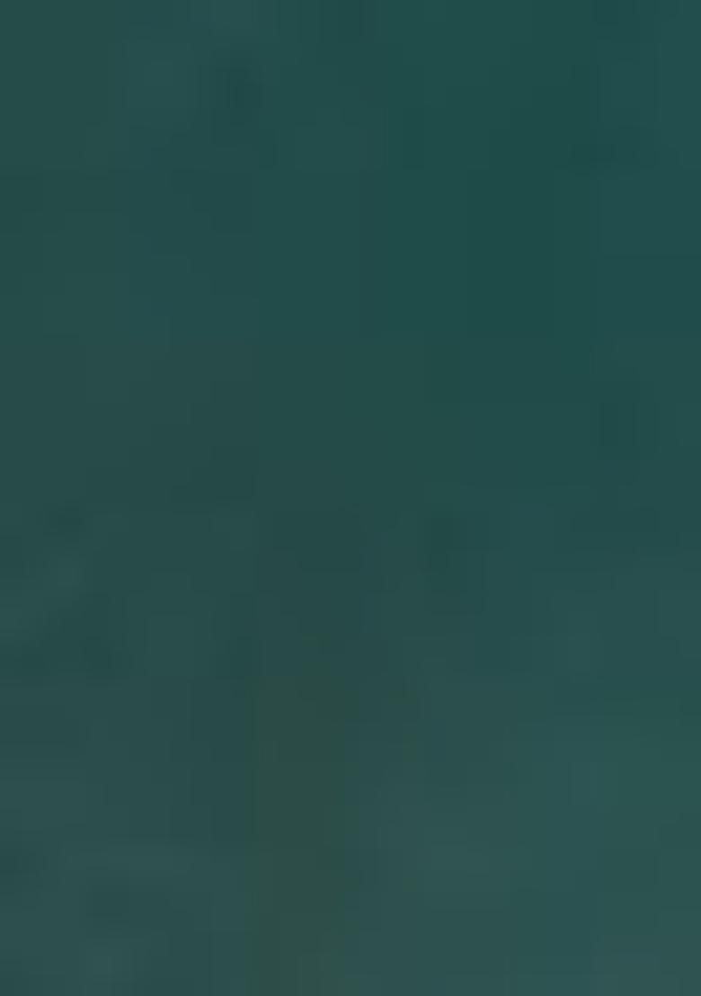 Green Abstract Print Art Silk Dupatta