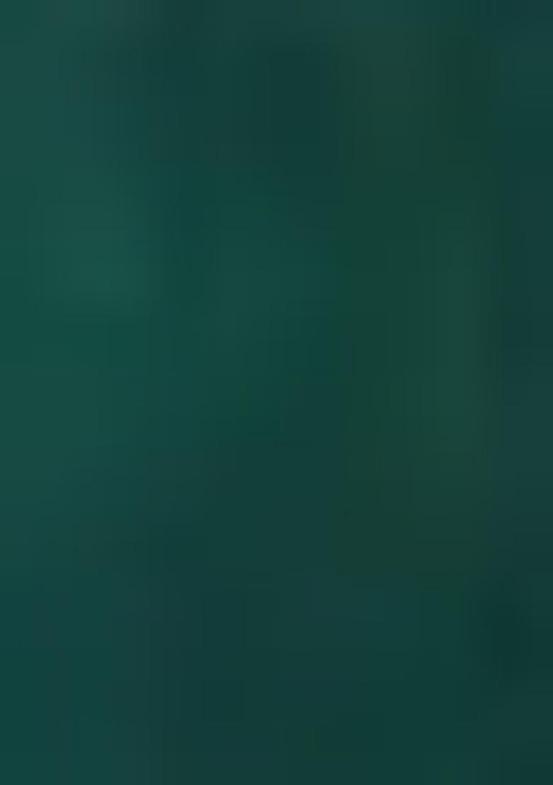 Green Abstract Print Art Silk Dupatta