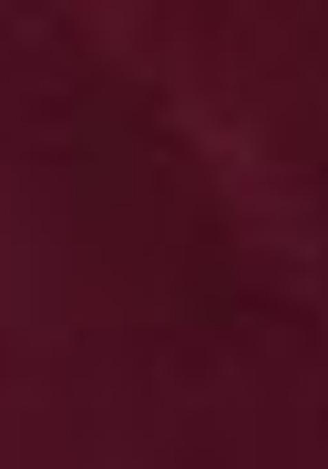 Burgundy Abstract Print Art Silk Dupatta