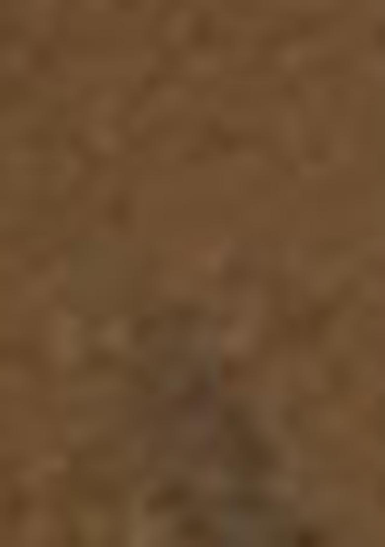 Green Abstract Print Art Silk Dupatta