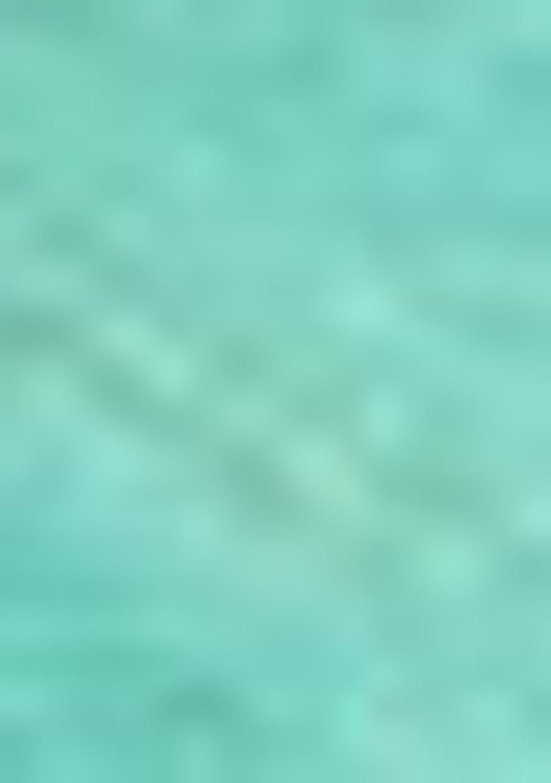 Sea Green Abstract Print Art Silk Dupatta