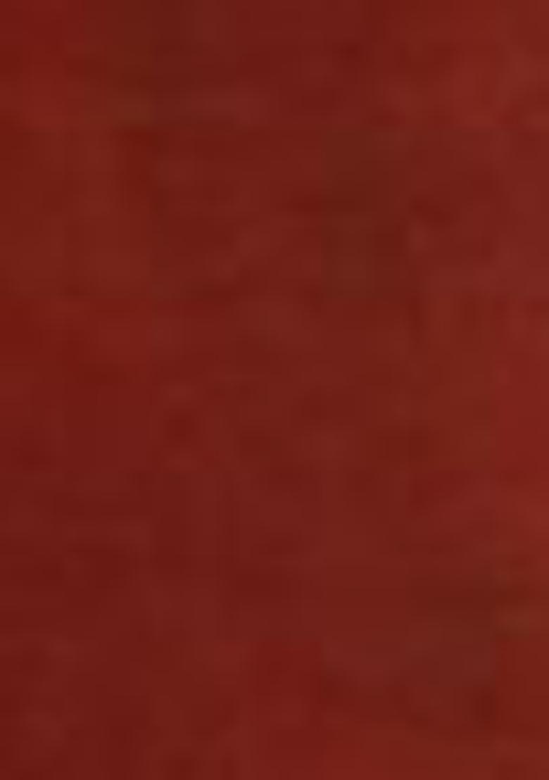 Rust Abstract Print Art Silk Dupatta