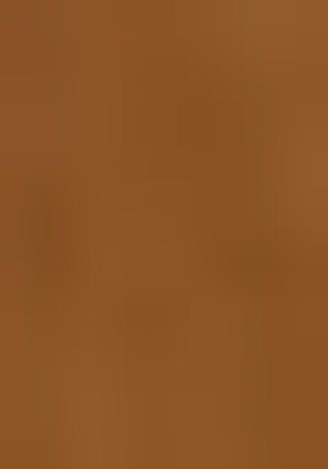 Beige Abstract Print Art Silk Dupatta