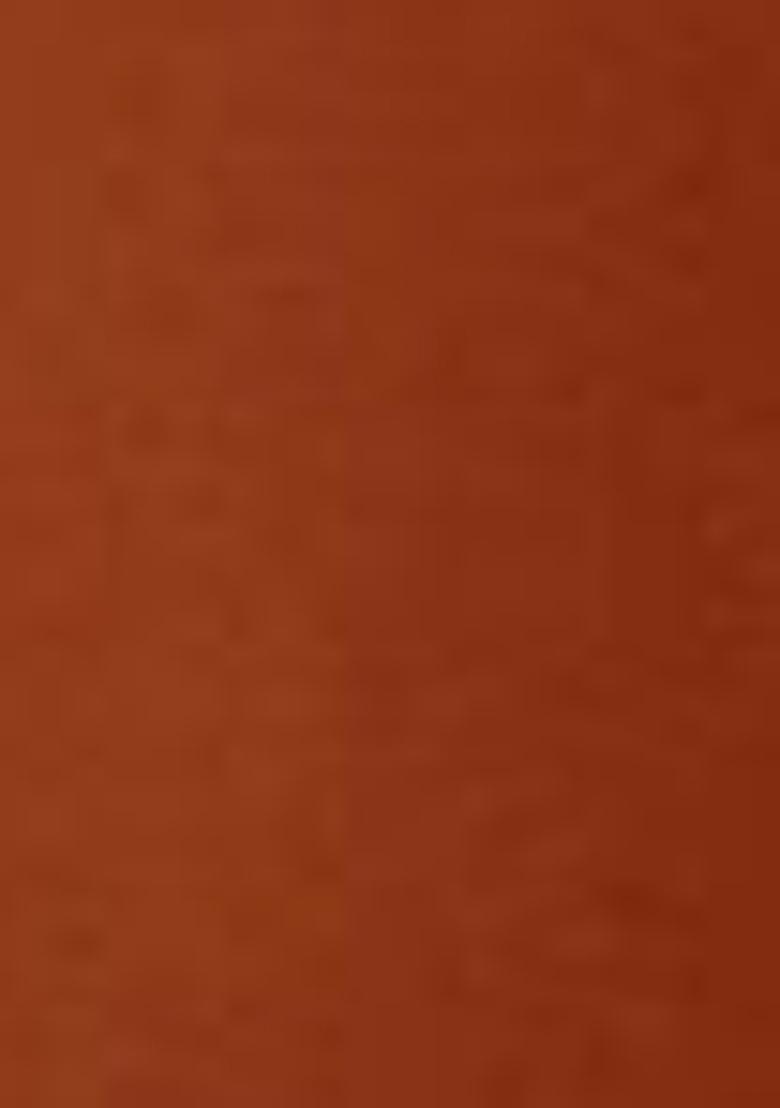 Orange Abstract Print Art Silk Dupatta