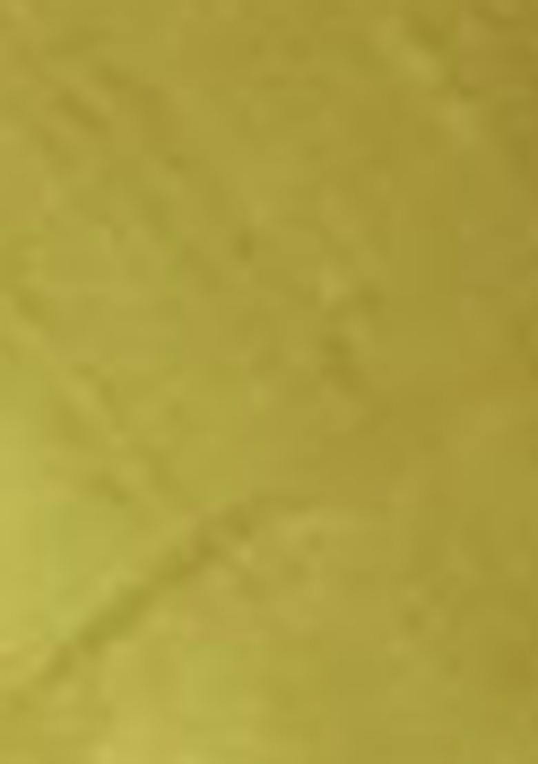 Green Abstract Print Art Silk Dupatta