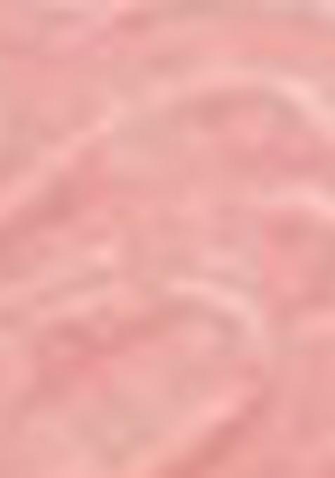 Red Abstract Print Art Silk Dupatta