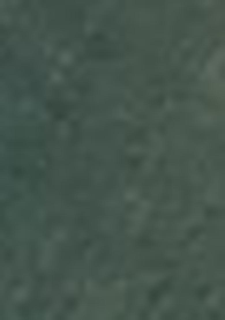 Blue Abstract Print Organza Dupatta