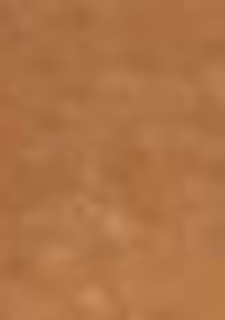 Peach Abstract Print Organza Dupatta