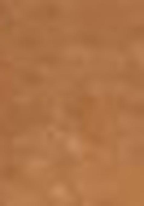 Peach Abstract Print Organza Dupatta