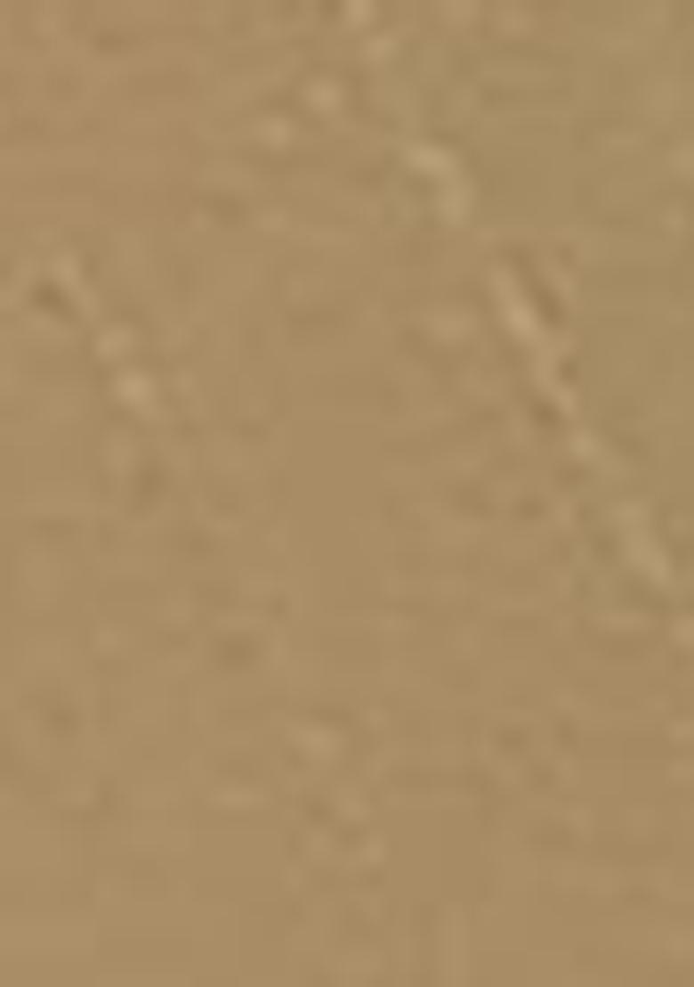 Cream Abstract Print Organza Dupatta