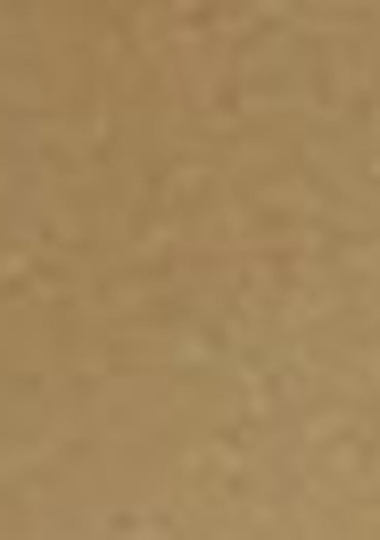 Beige Abstract Print Organza Dupatta