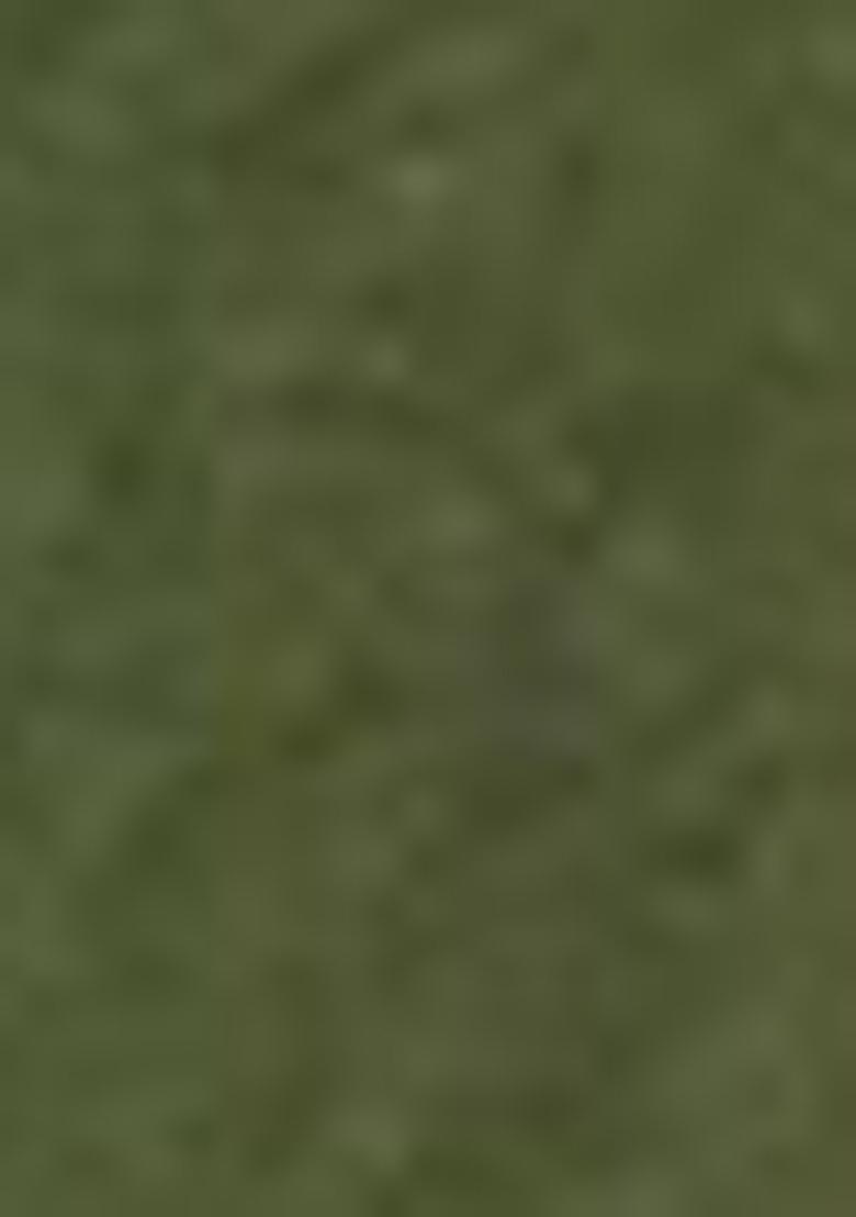 Green Abstract Print Organza Dupatta