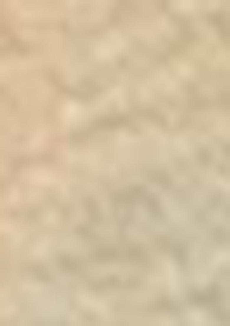 Peach Abstract Print Organza Dupatta