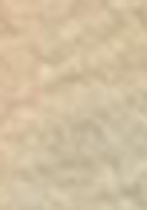 Peach Abstract Print Organza Dupatta