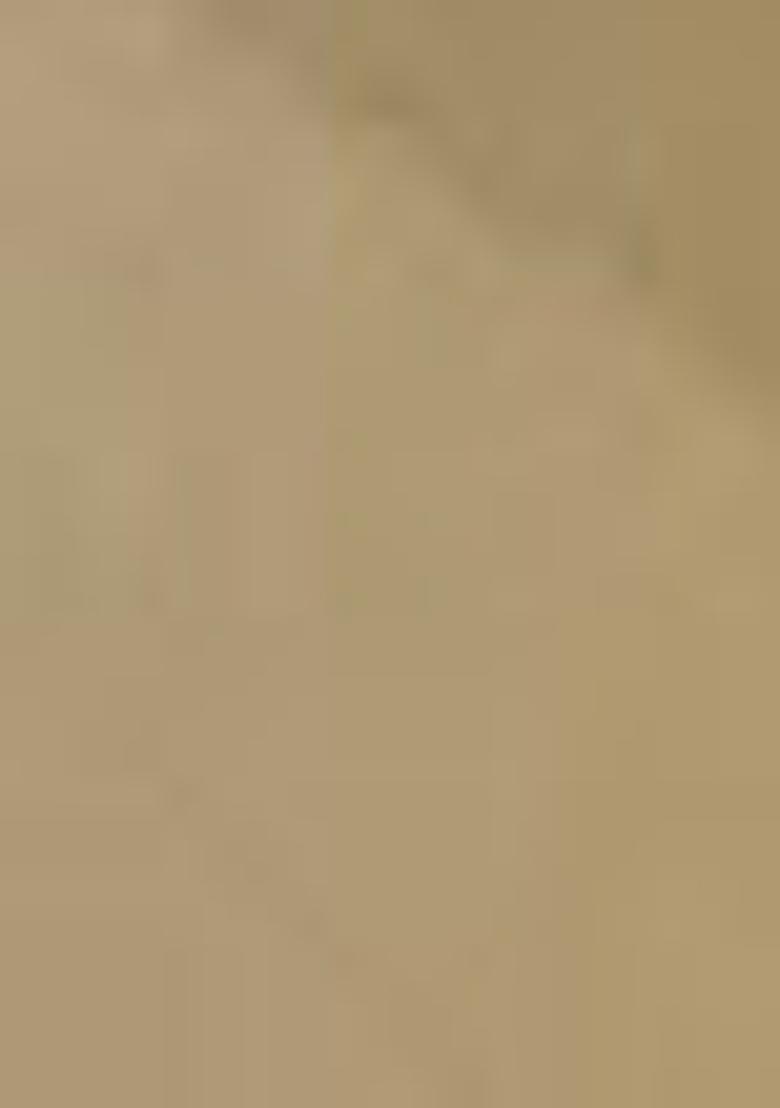 Cream Abstract Print Organza Dupatta