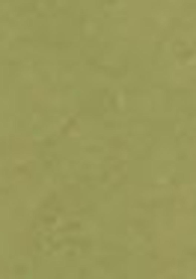 Green Abstract Print Organza Dupatta