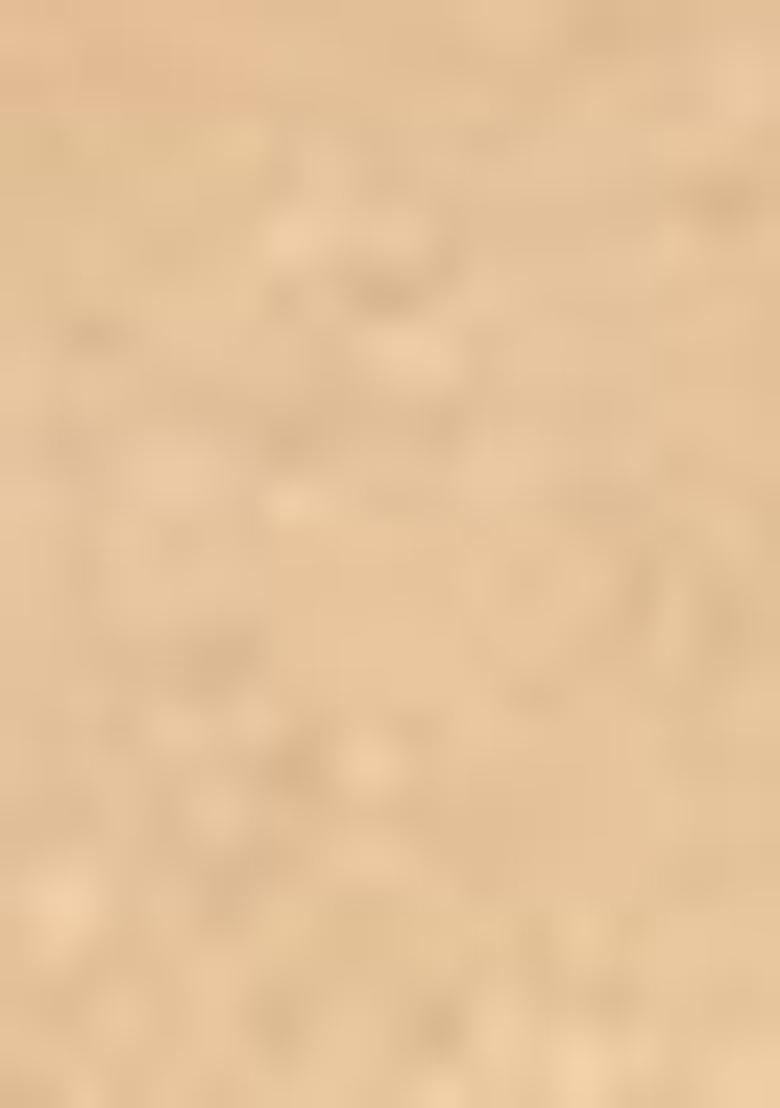 Orange Abstract Print Organza Dupatta