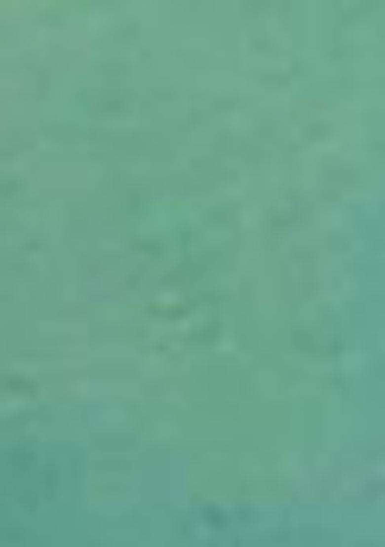 Blue Abstract Print Poly Blend Dupatta