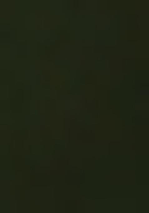 Green Abstract Print Art Silk Dupatta