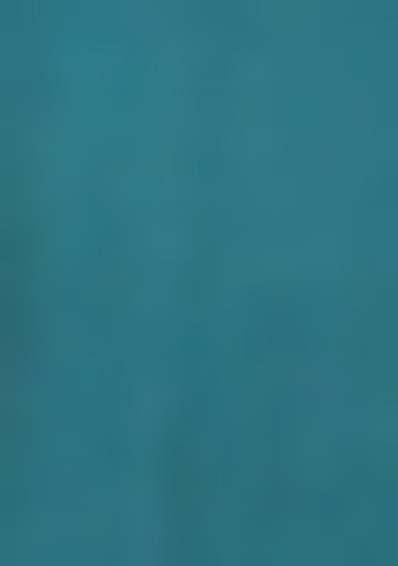 Sky Blue Abstract Print Art Silk Dupatta