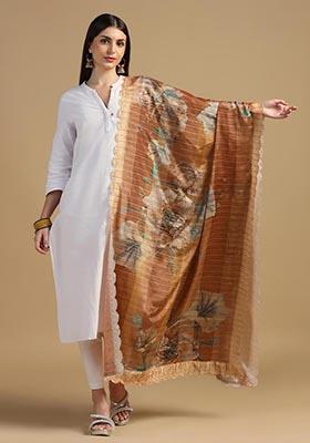 Brown Embroidered Chinnon Dupatta