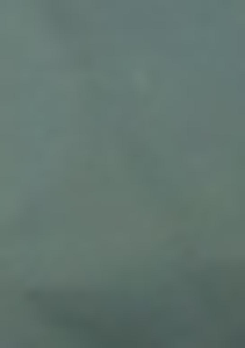 Mehendi Zari Sequin Embroidered Faux Blooming Anarkali Set