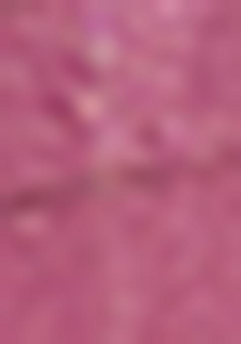 Pink Kalamkari Print Silk Anarkali Set