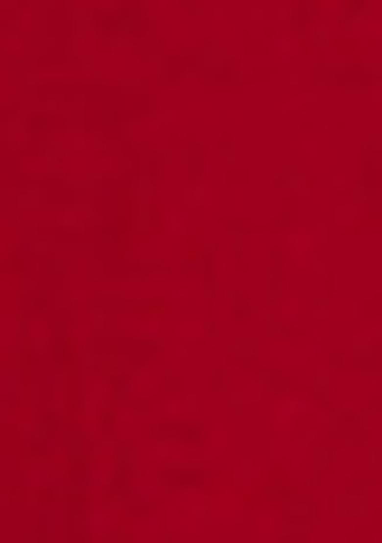 Maroon Embroidered Georgette Anarkali Set With Dupatta