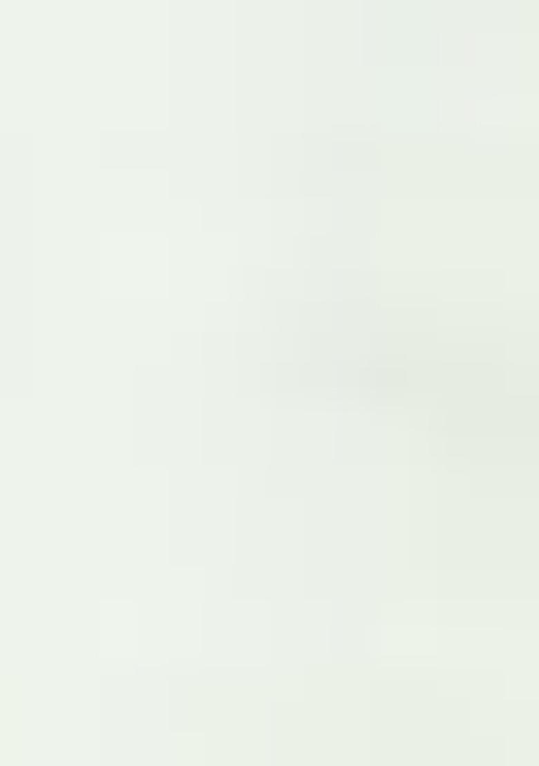 White Thread Work Cotton Gown