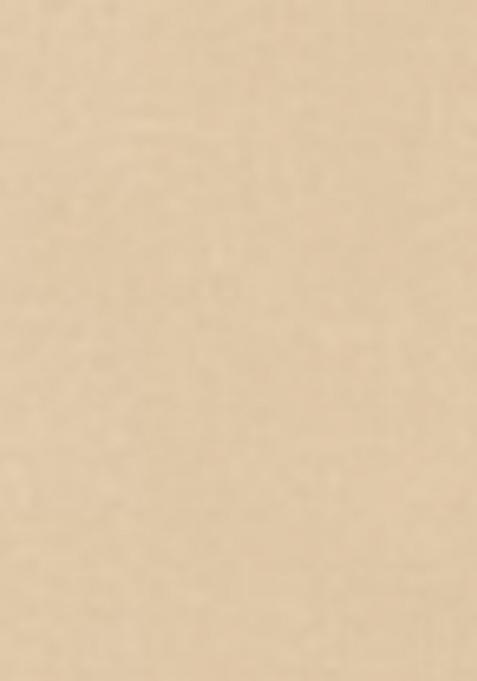 Chiku Woven Zari Dress Material