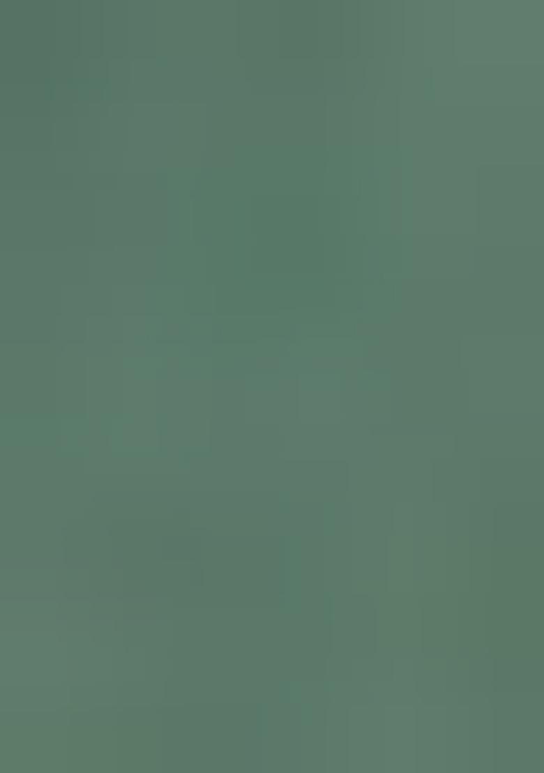 Green Embroidery Cotton Dress