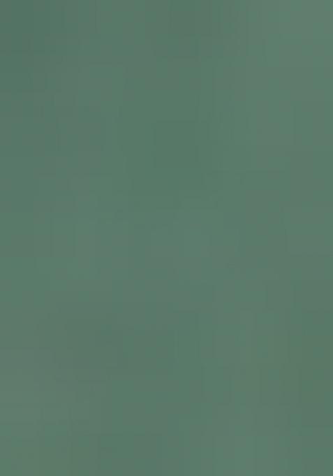 Green Embroidery Cotton Dress