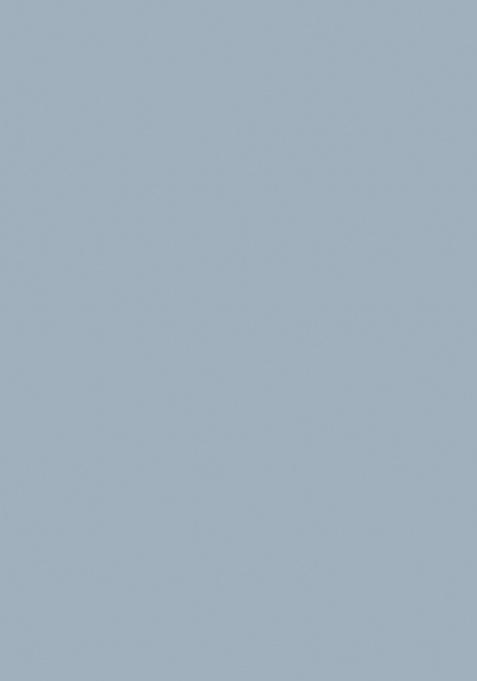 Blue Digital Printed Rayon Anarkali Dress